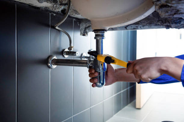 Best Commercial Plumbing Services  in Forest City, PA